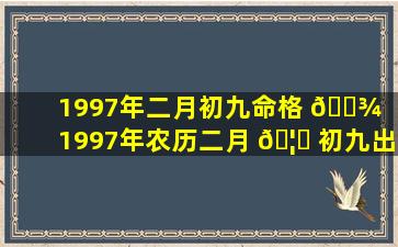 1997年二月初九命格 🌾 （1997年农历二月 🦆 初九出生的人怎么样）